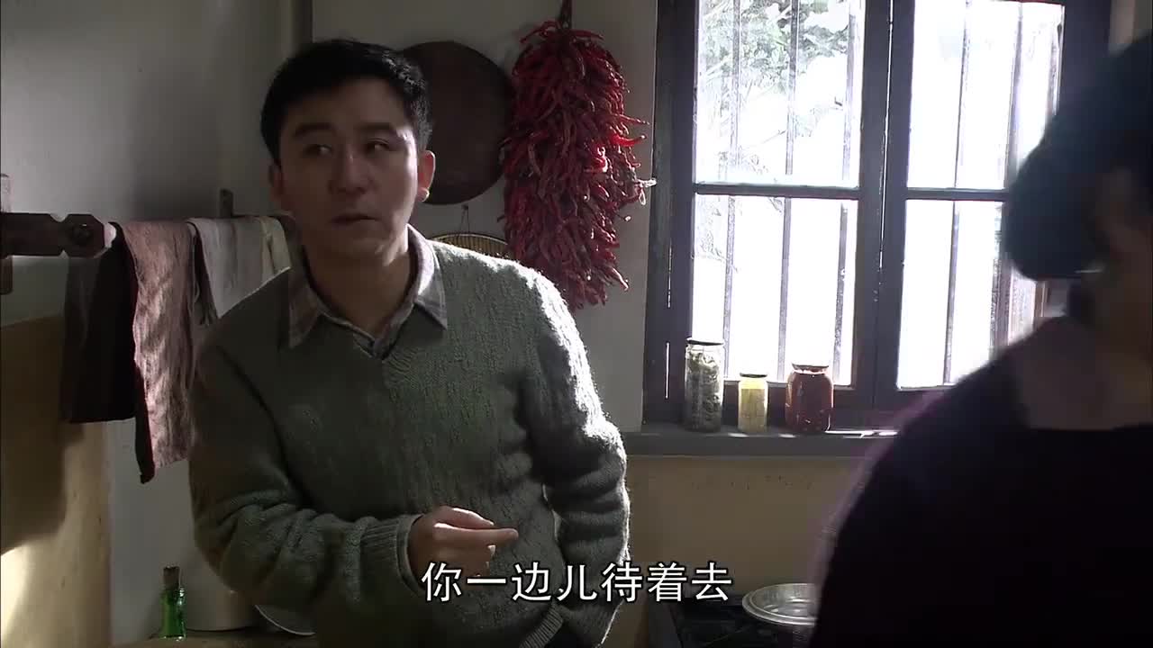小麦进城演员表