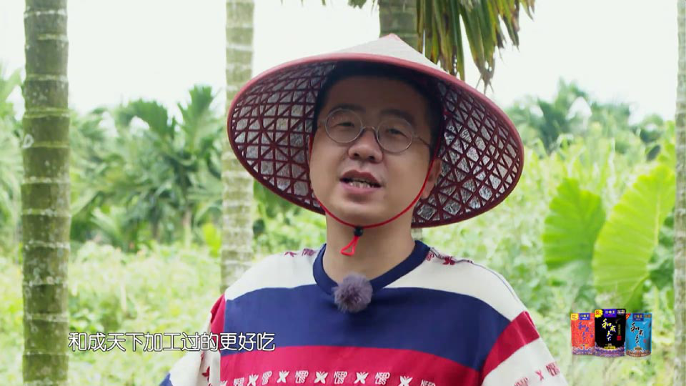 李诞退出野生厨房