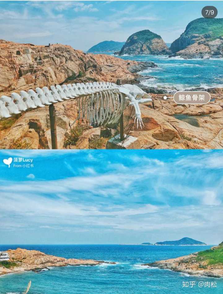 鲸鱼匹俦下车