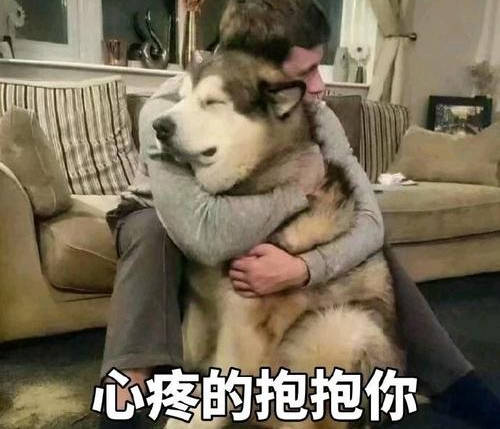 胡广松照片 胡广松照片