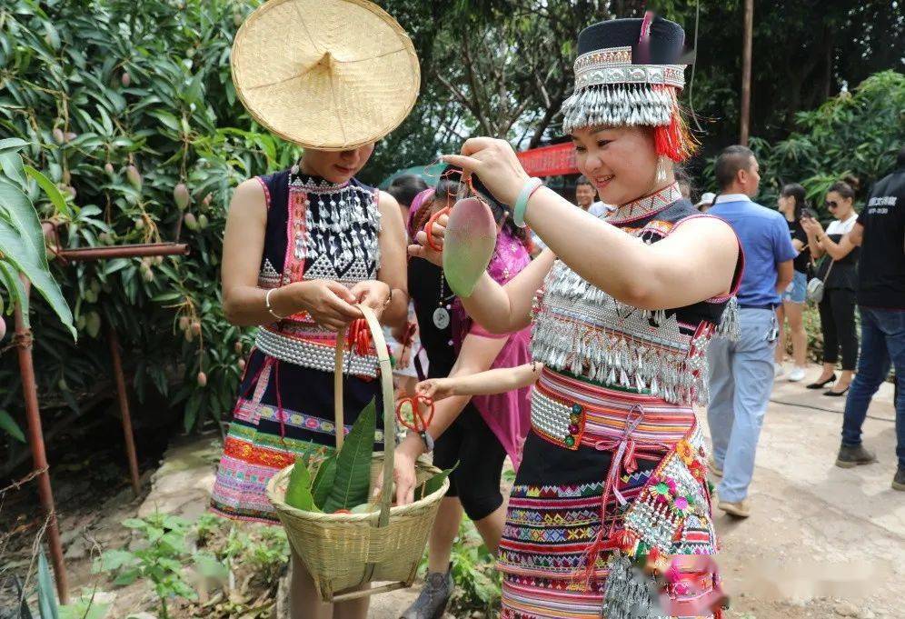 金芒果粉丝节