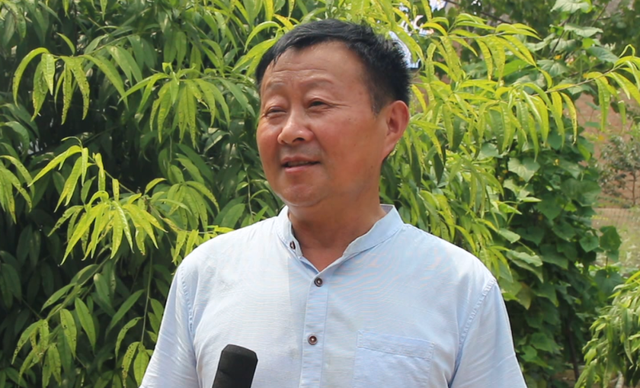 马化曼琳 马化曼琳