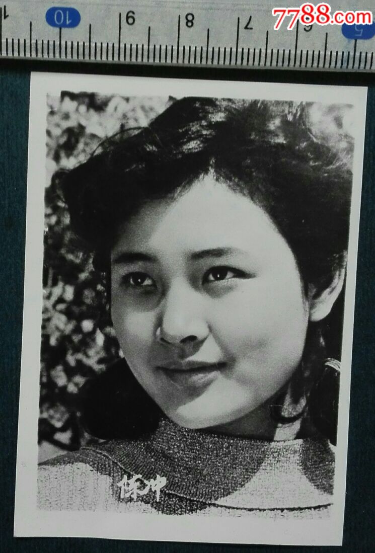 陈冲简历及个人资料简介