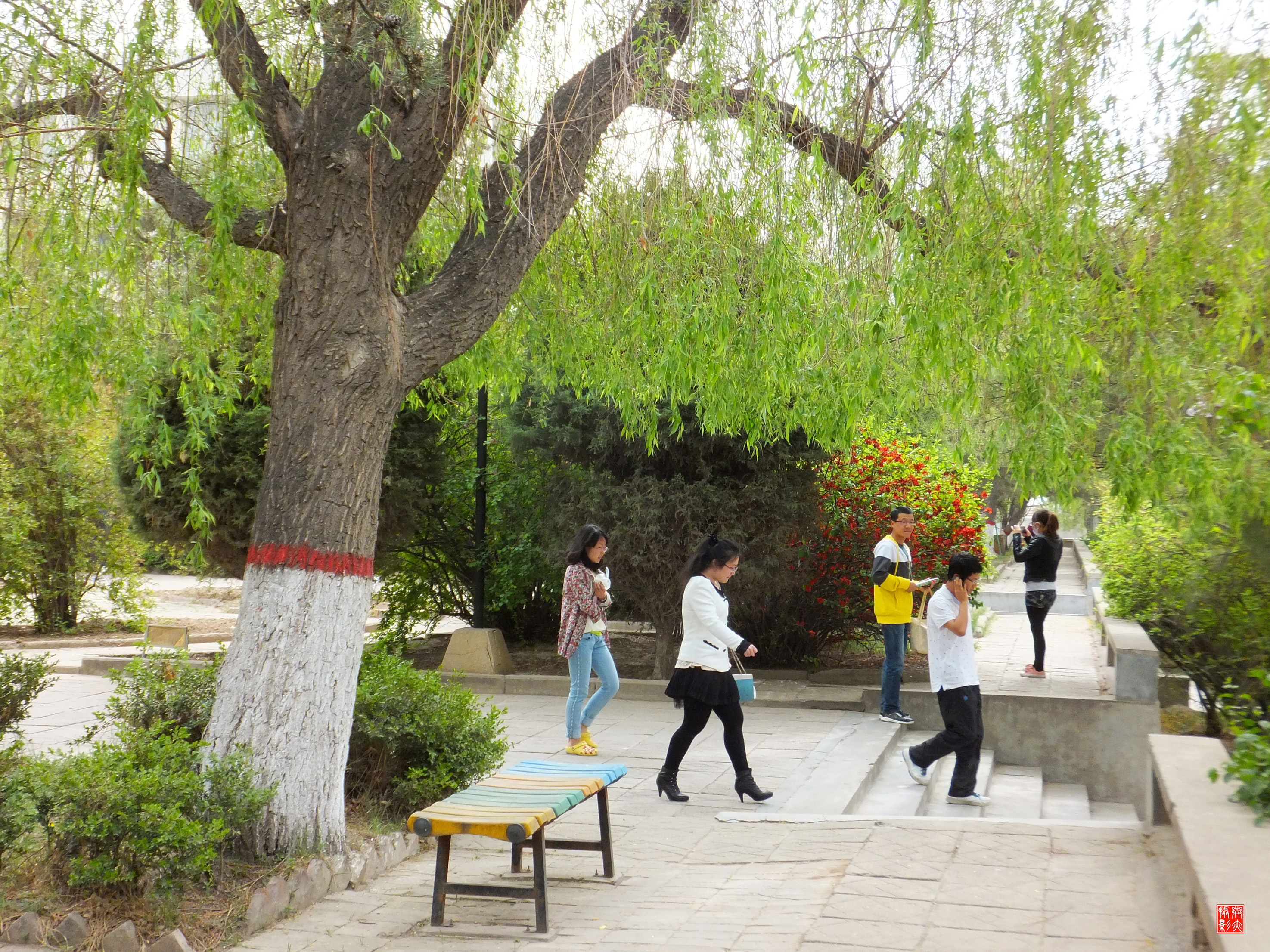宁州师范学院