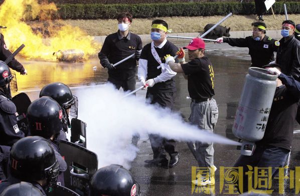 实尾岛豆瓣