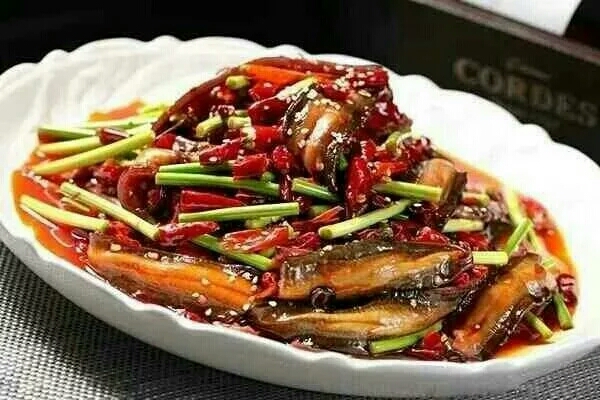 鳝鱼女主播