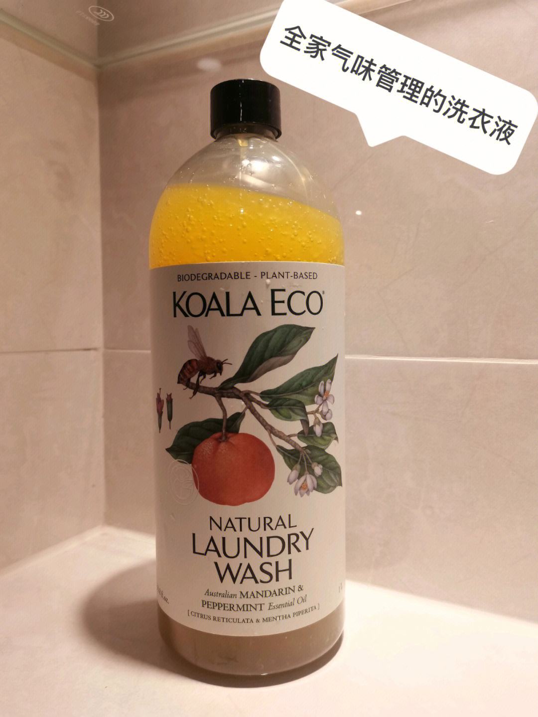 包含fx的koala的词条