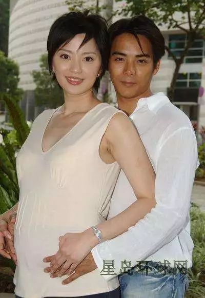 傅天颖陈子强