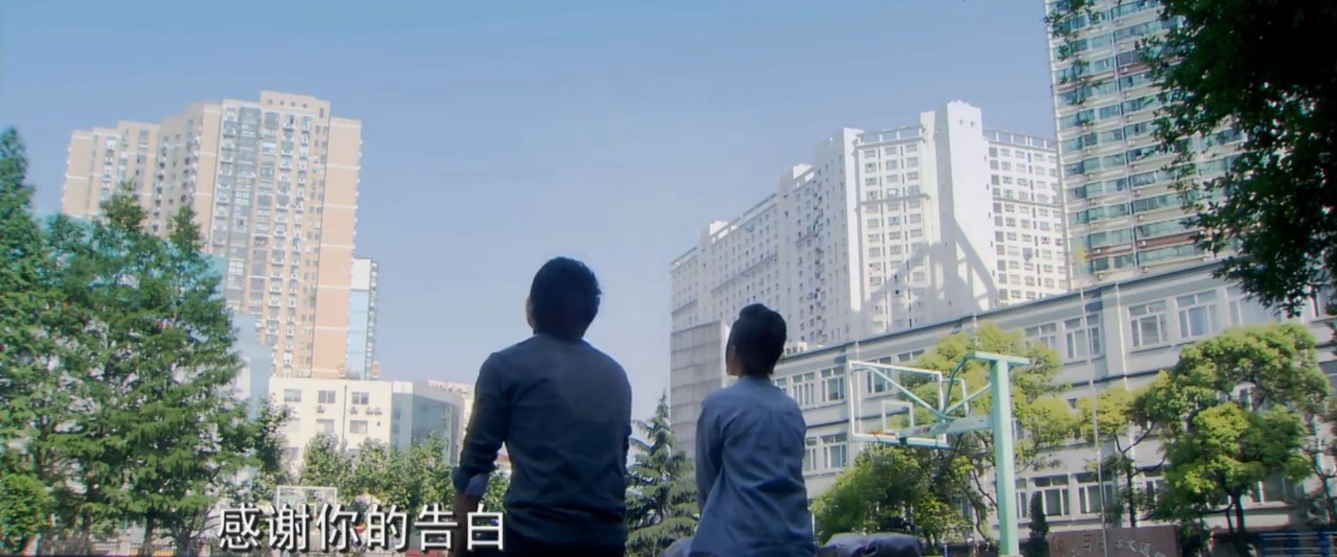 爱情是从告白开始的所有歌曲