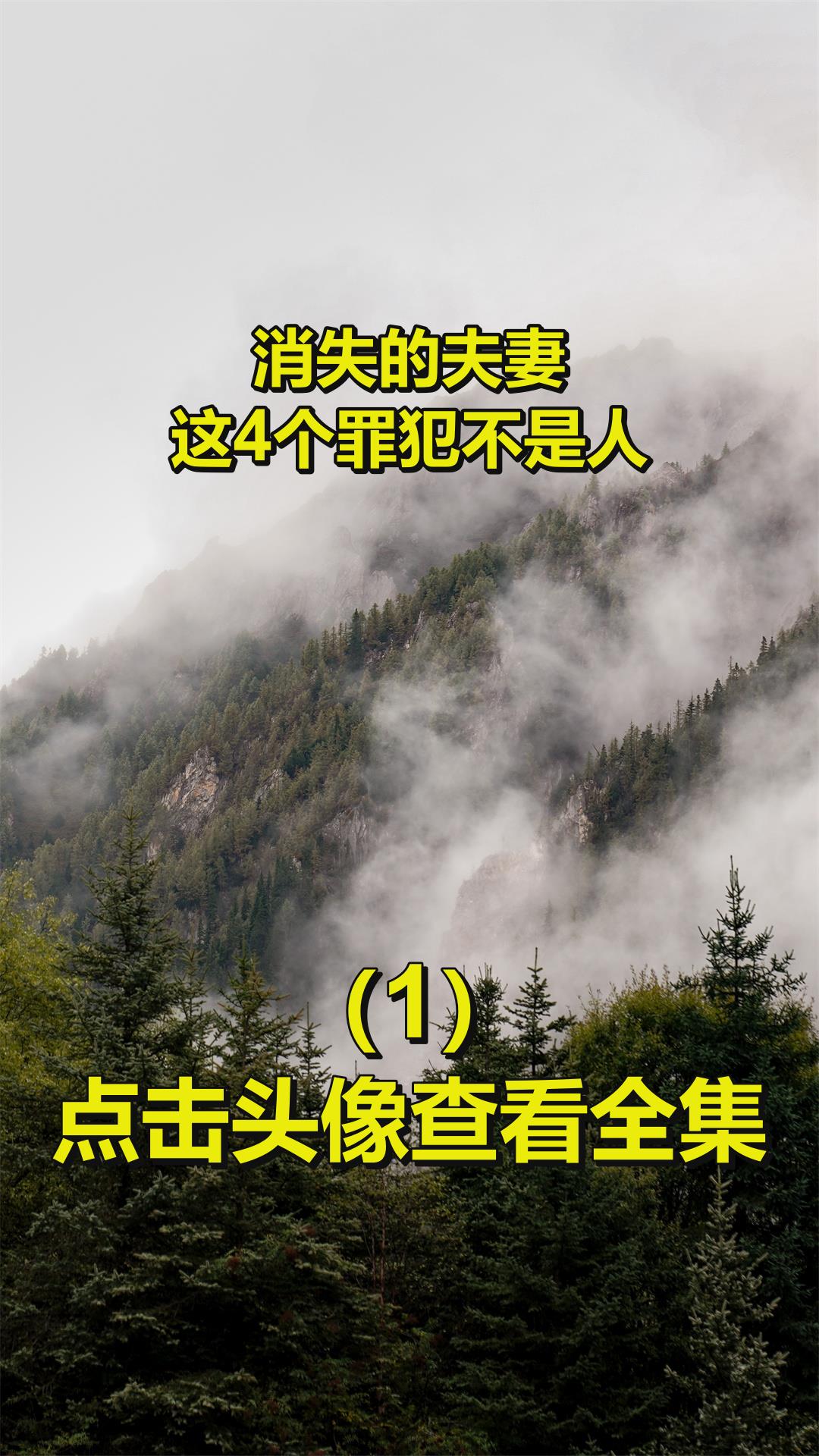 消失的伉俪细节还原 消失的伉俪细节还原