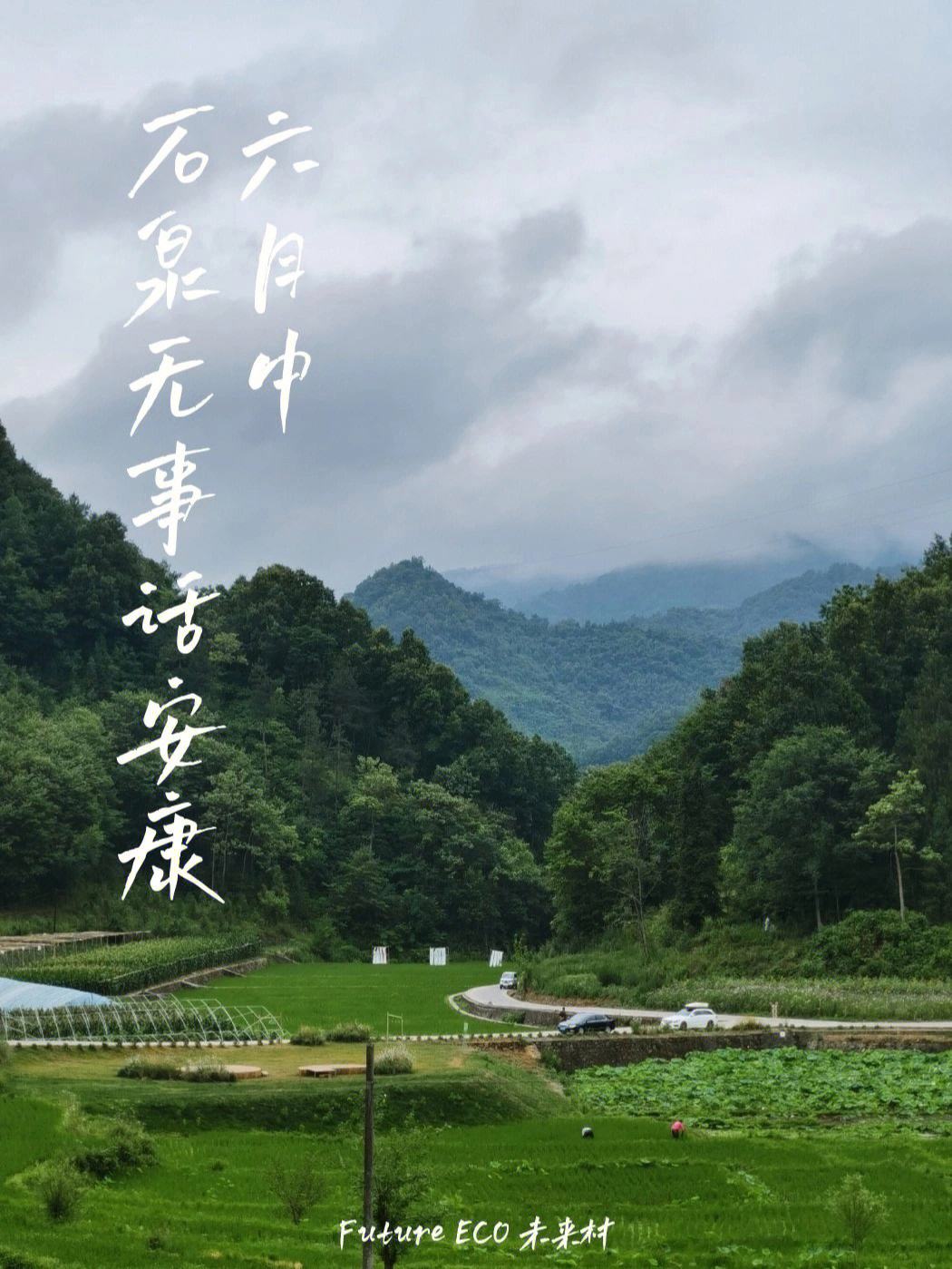 更生将来之随身桃源