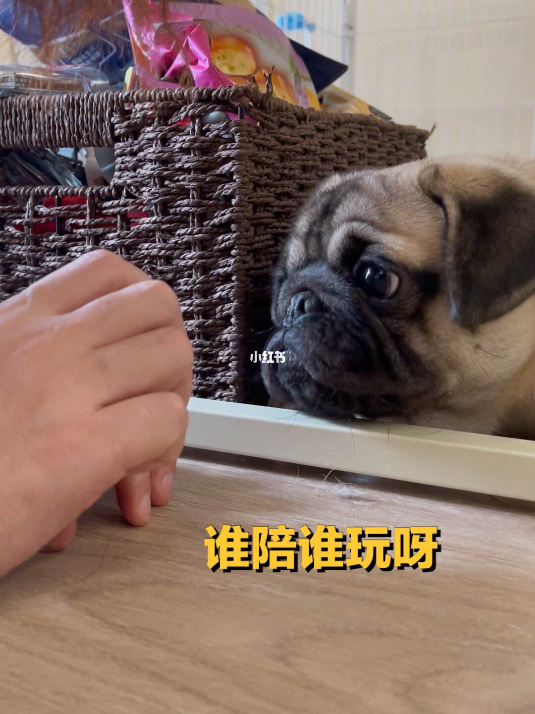 陪他