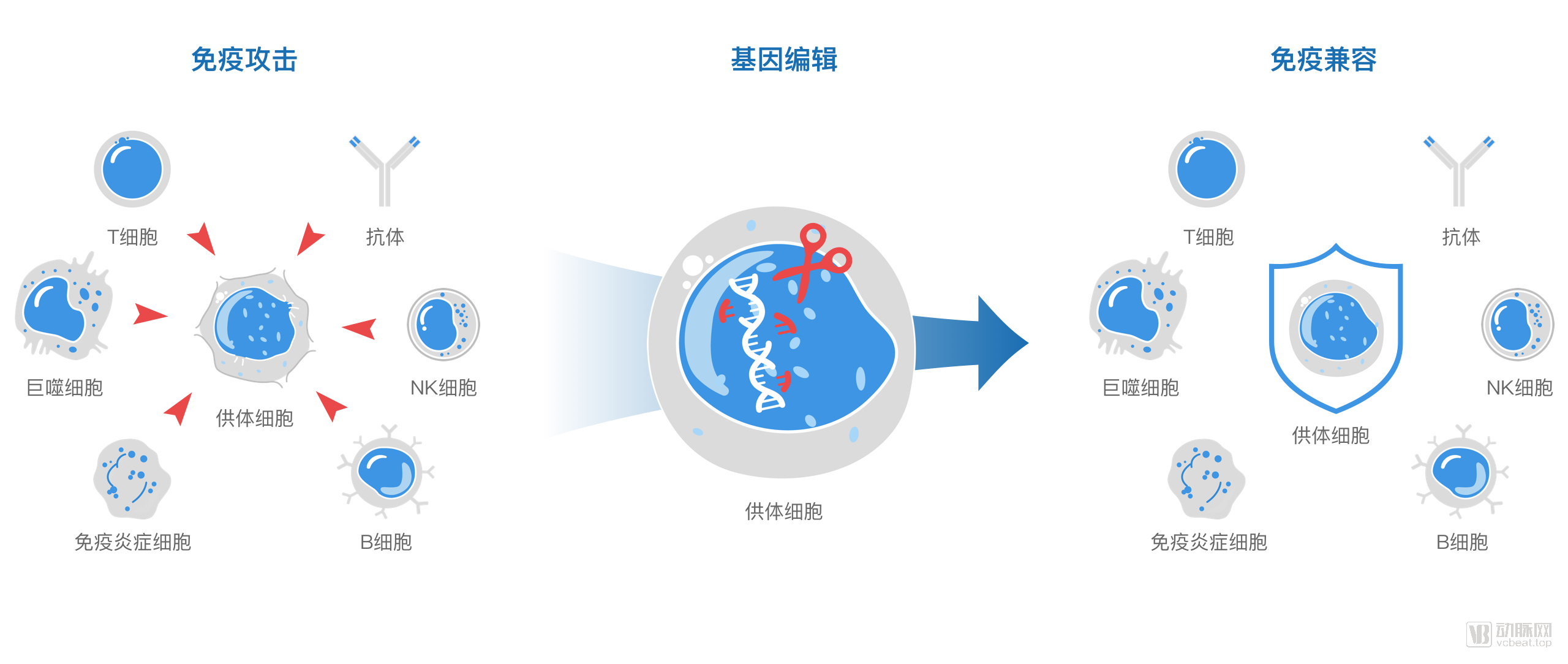 杨璐菡 杨璐菡博士的最新消息 杨璐菡 杨璐菡博士的最新消息