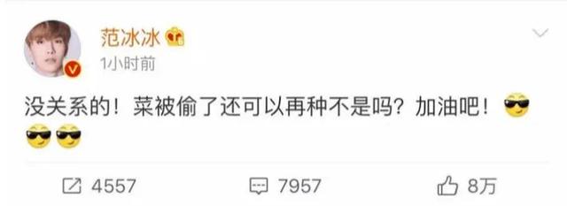 崔永元炮轰范冰冰 崔永元调侃范冰冰视频 