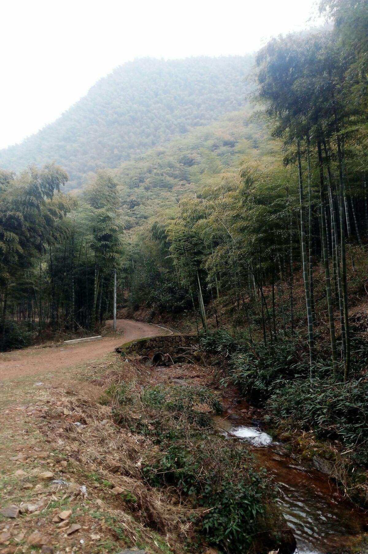 金志文山沟沟 金志文山沟沟中国好声音视频 金志文山沟沟 金志文山沟沟中国好声音视频