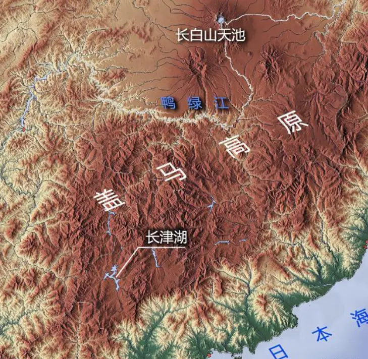 陶勇称左手很难恢复 陶勇左手的伤是勋章 