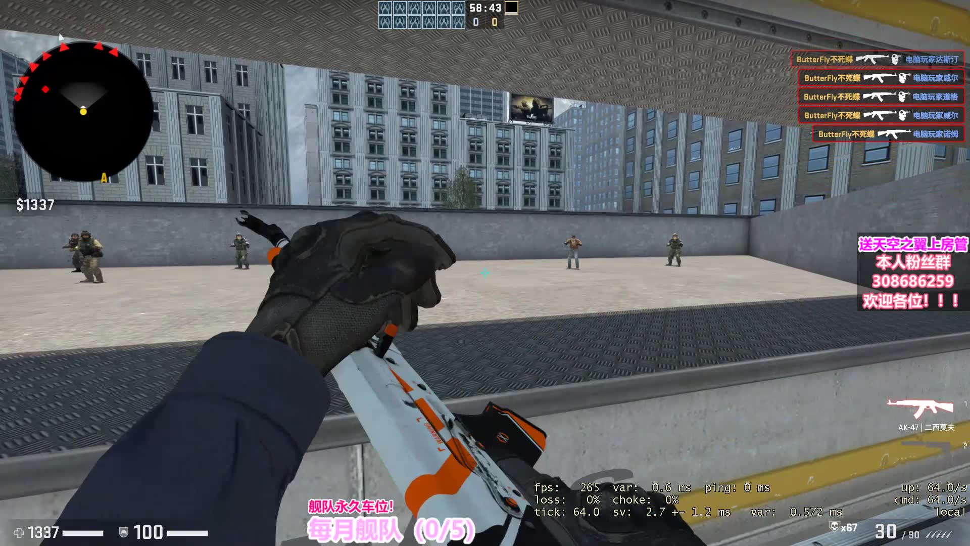 CSGO小菊花 csgo菊花段位叫什么 