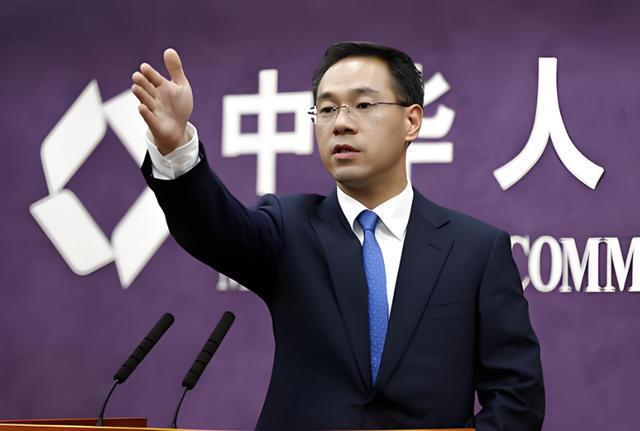 关于为什么不把孟晚舟强制要回来的信息