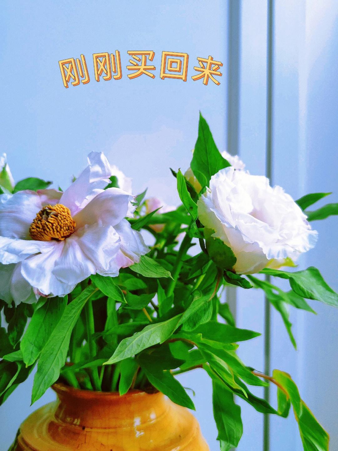 强心脏张佑赫 张佑赫强心脏舞蹈 强心脏张佑赫 张佑赫强心脏舞蹈