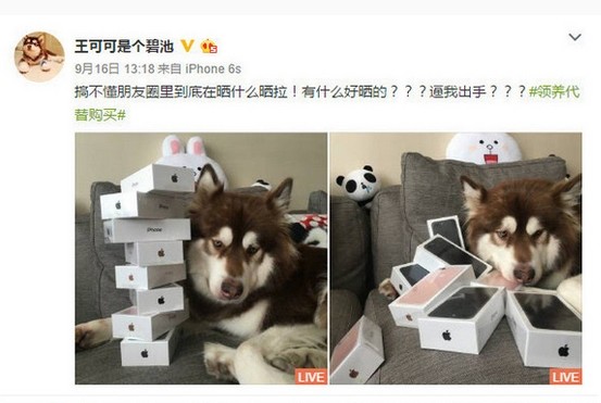 王思聪买的鸭子 王思聪的鸭多少钱一只