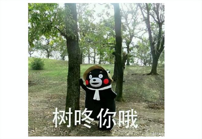 包含字节跳动副总裁吐槽腾讯的词条