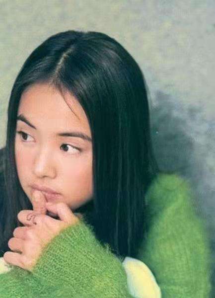 蔡依林团体简历 蔡依林团体简历成婚没有 