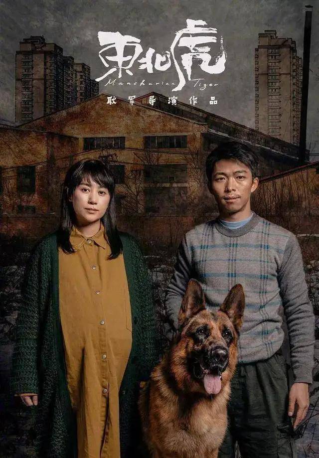 发达日记什么时候上映 发达日记什么时候上映几点 