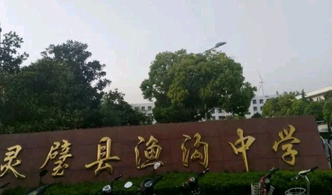 灵璧渔沟中学事件 灵璧渔沟中学事件处置惩罚成效 灵璧渔沟中学事件 灵璧渔沟中学事件处置惩罚成效