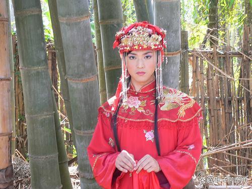 棉被妈觕白贼七 白贼七保举的up 棉被妈觕白贼七 白贼七保举的up
