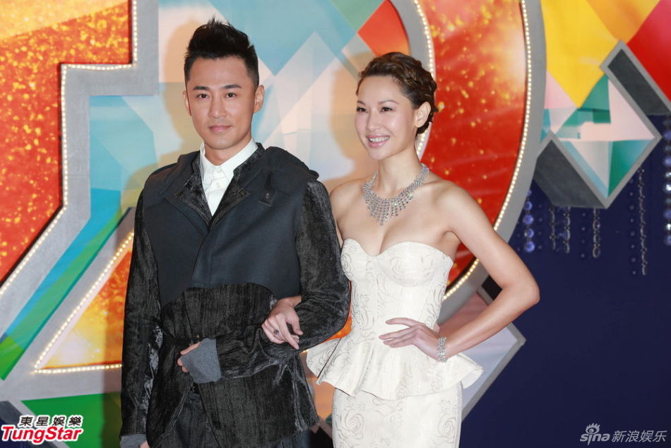 林峰徐子珊 林峰徐子珊合作的电视剧