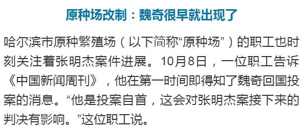 魏奇返国投案 红通人员魏奇返国投案 魏奇返国投案 红通人员魏奇返国投案