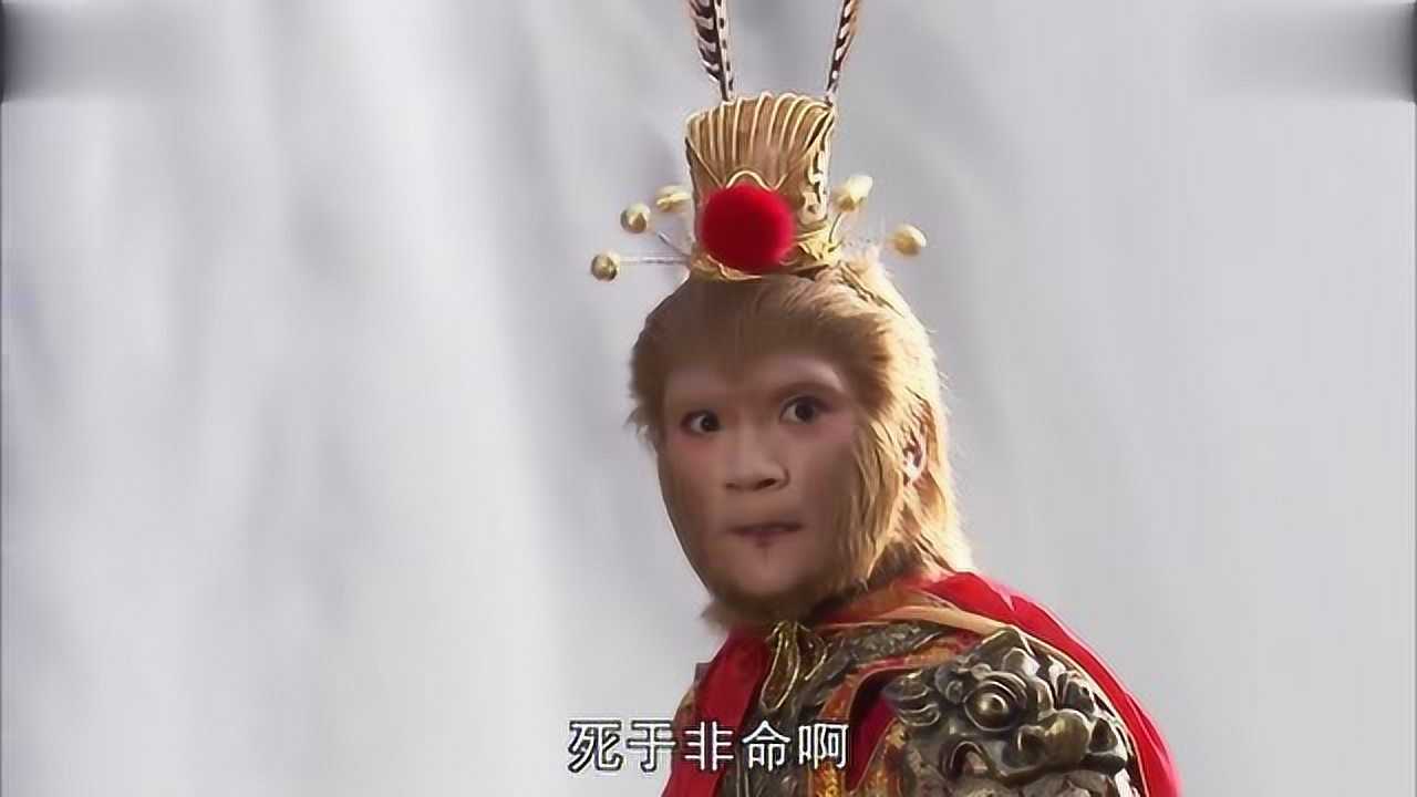 新西游记孙悟空演员 新西游记孙悟空演员名字