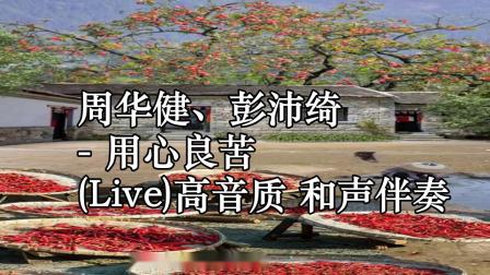 用心良苦伴奏 用心良苦伴奏歌曲 用心良苦伴奏 用心良苦伴奏歌曲