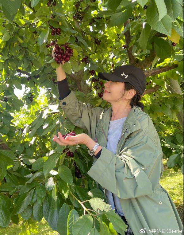曝王菲真人秀报酬 王菲现场 