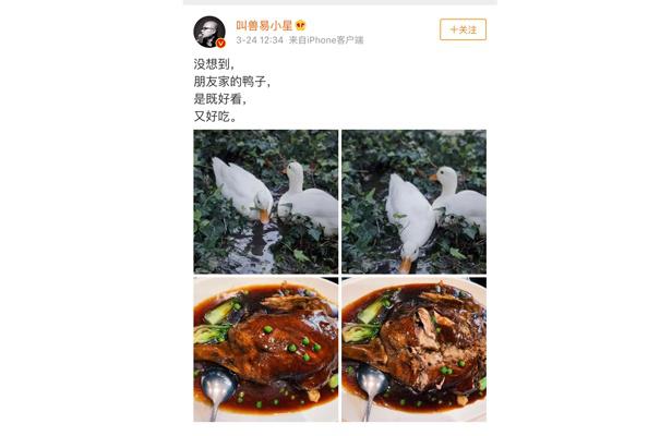 王思聪买的鸭子 王思聪买的鸭子给吃了 王思聪买的鸭子 王思聪买的鸭子给吃了
