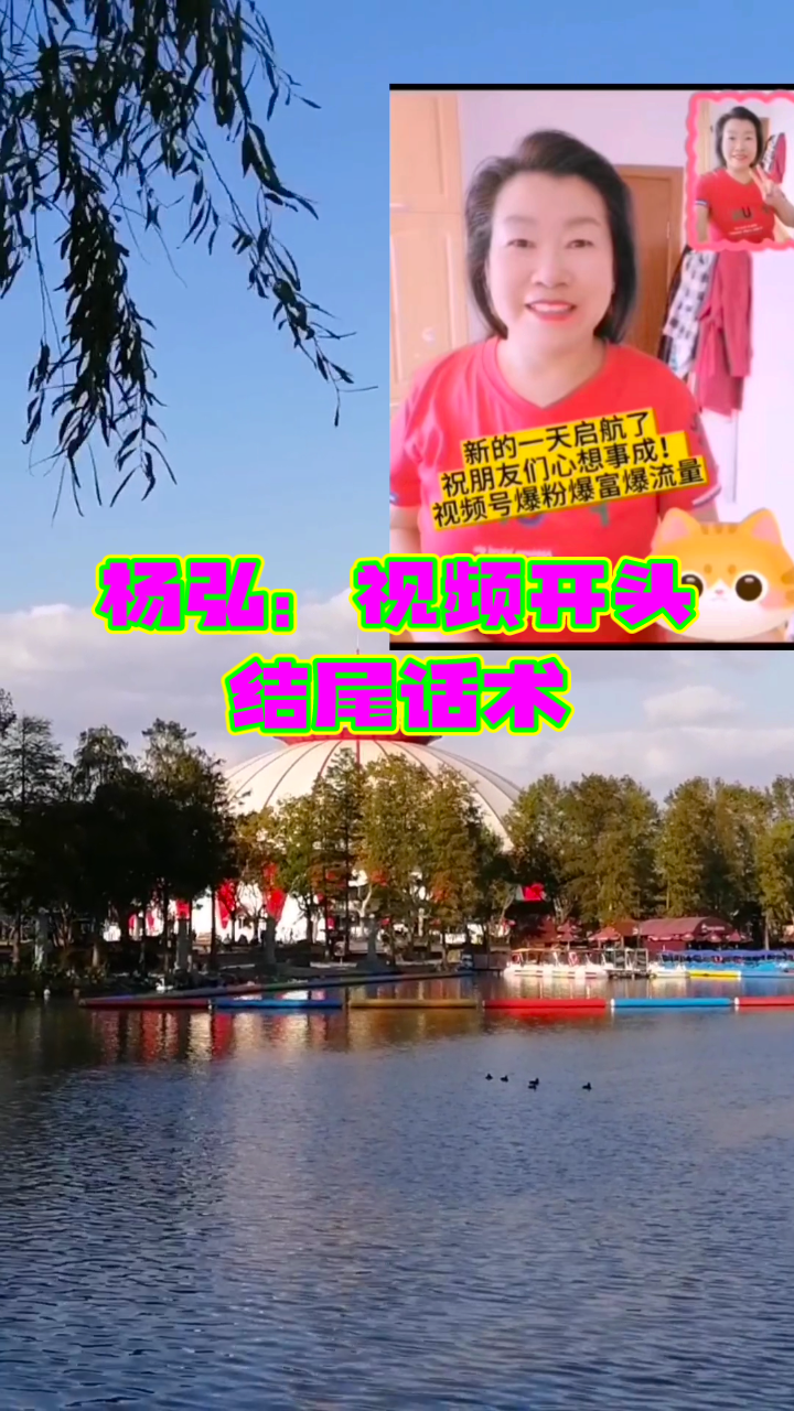 杨弘微博 杨泓微博