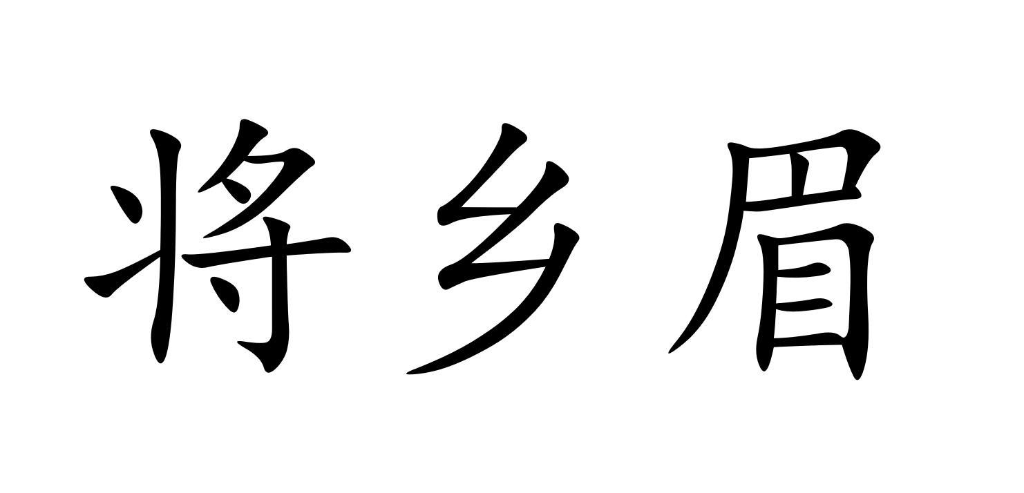 胡静儿子设计的logo 胡静儿子设计过的logo 