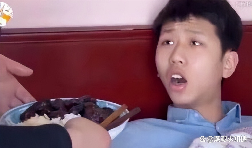 变形计王境泽 变形计王境泽在线观看免费版