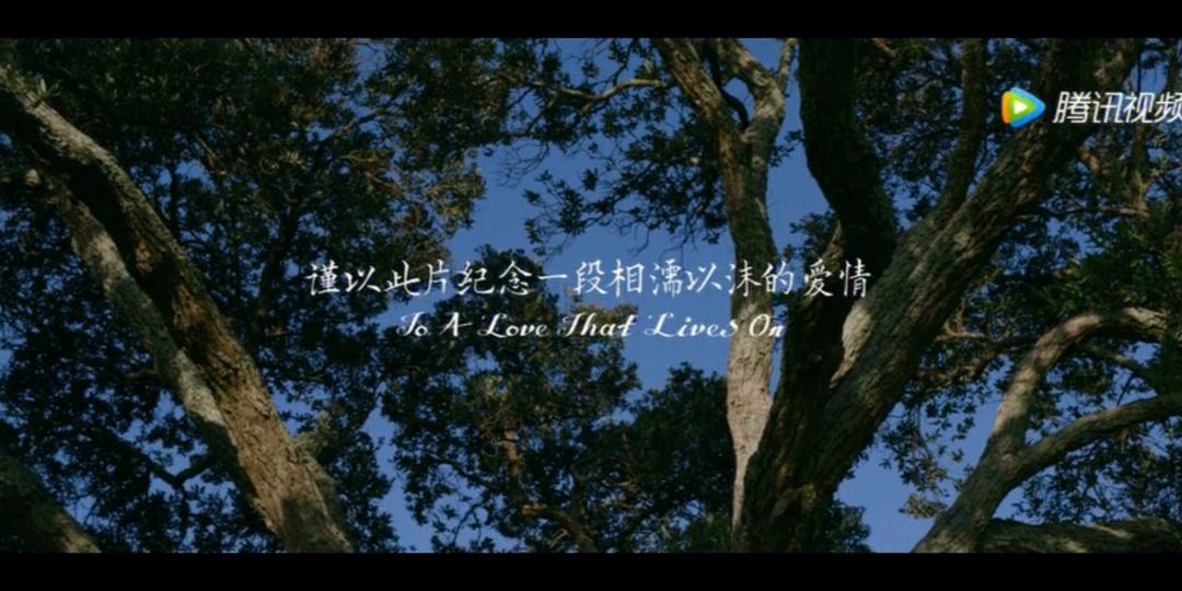 只有芸知道曝海报 只有芸知道说的是什么