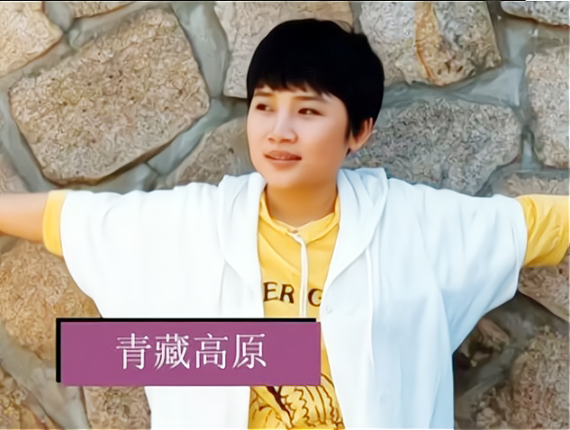 李娜唱佛歌 李娜唱佛歌歌经典六字真言颂蒙语版