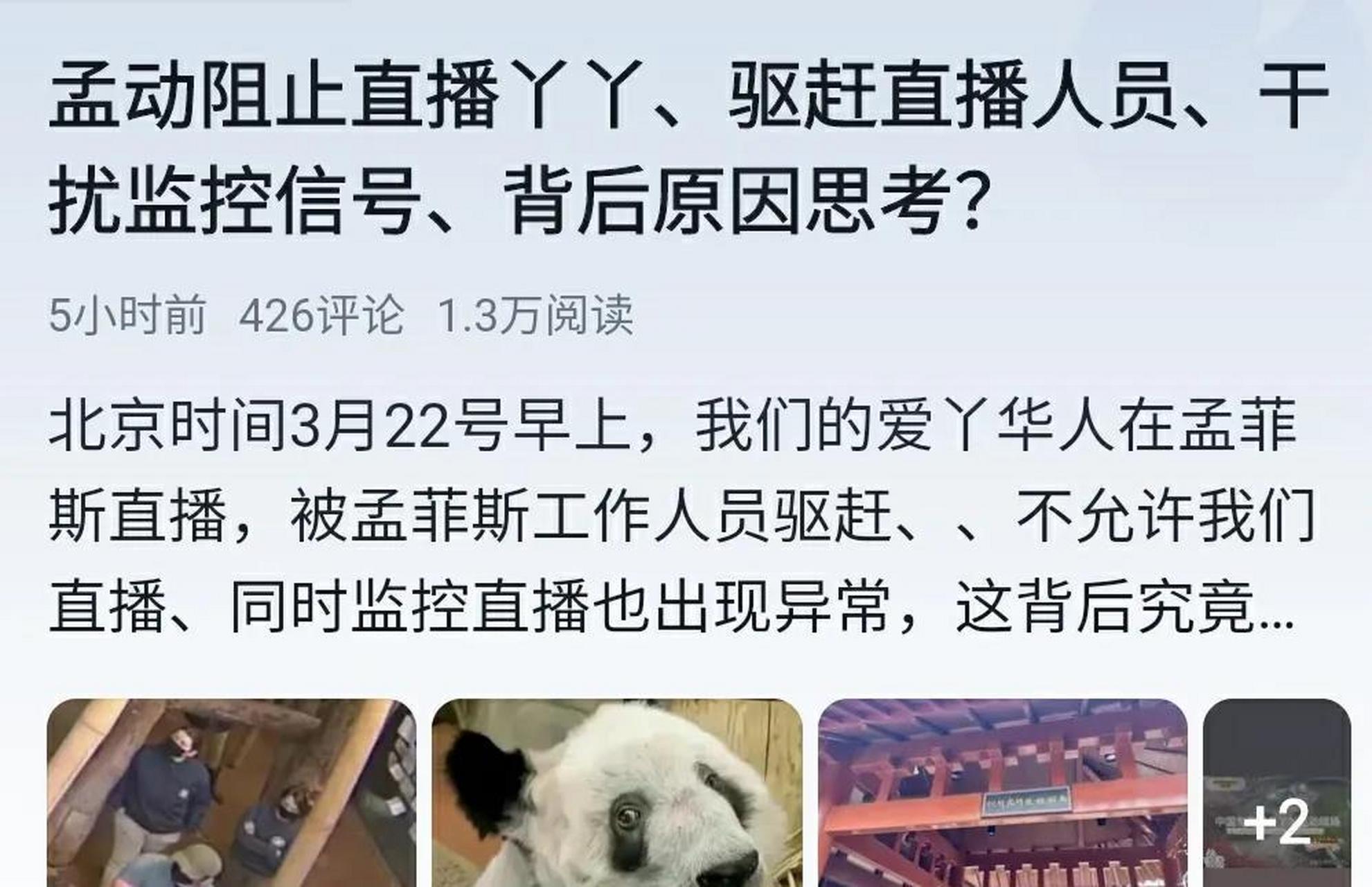孟菲 孟菲斯灰熊队