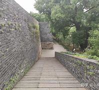 扔蛇门 踩了蛇一脚会怎么办 扔蛇门 踩了蛇一脚会怎么办
