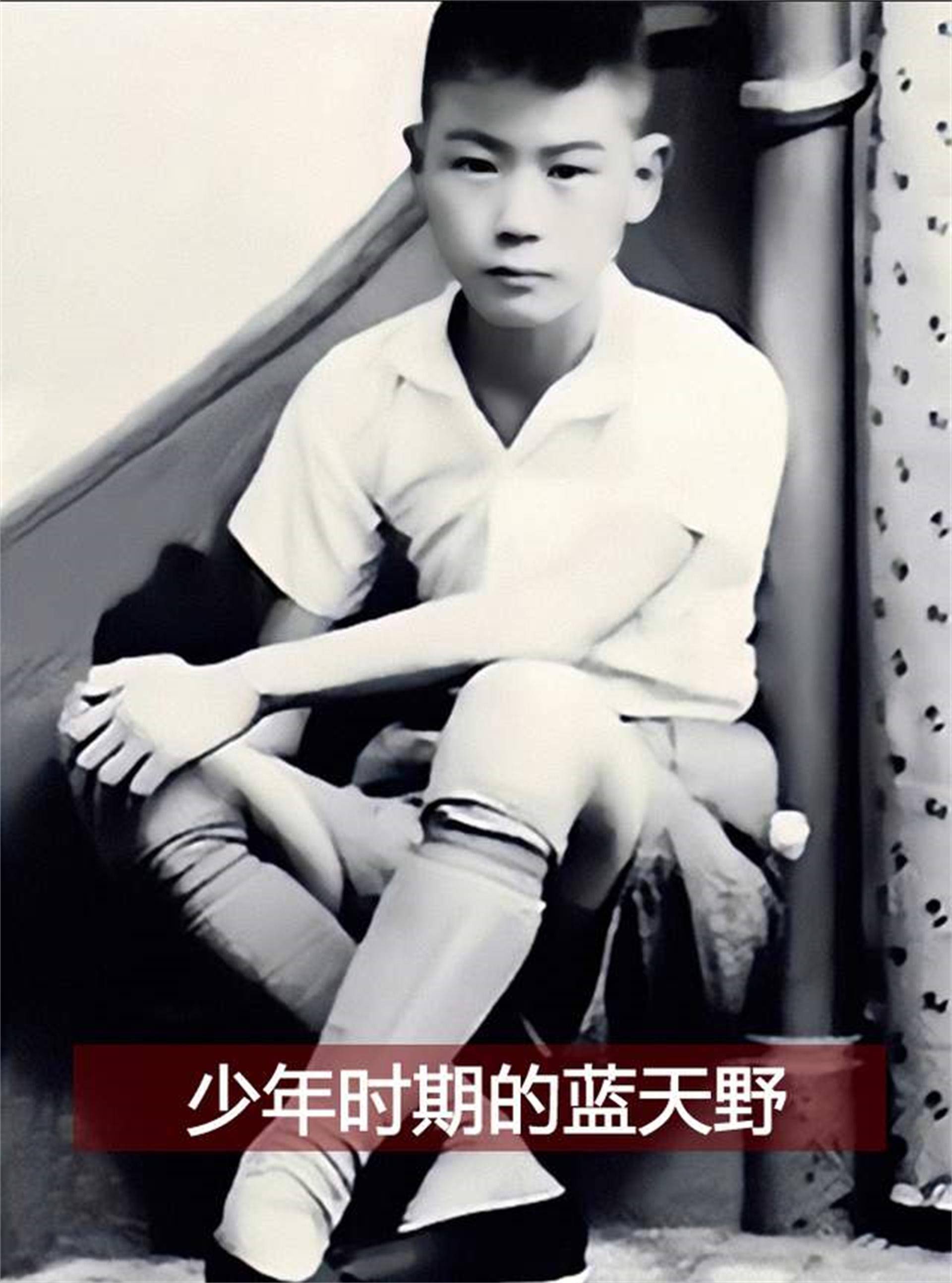 蓝天野简历 蓝天野饰演的姜子牙
