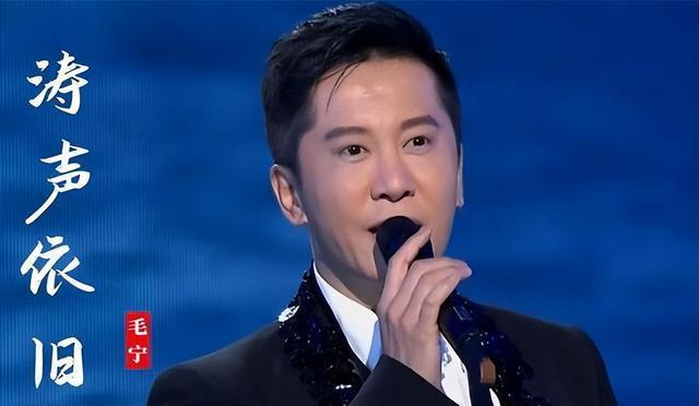 毛宁个人资料 毛宁生平简介