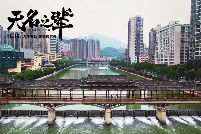 露台票房 露台影戏票房 露台票房 露台影戏票房