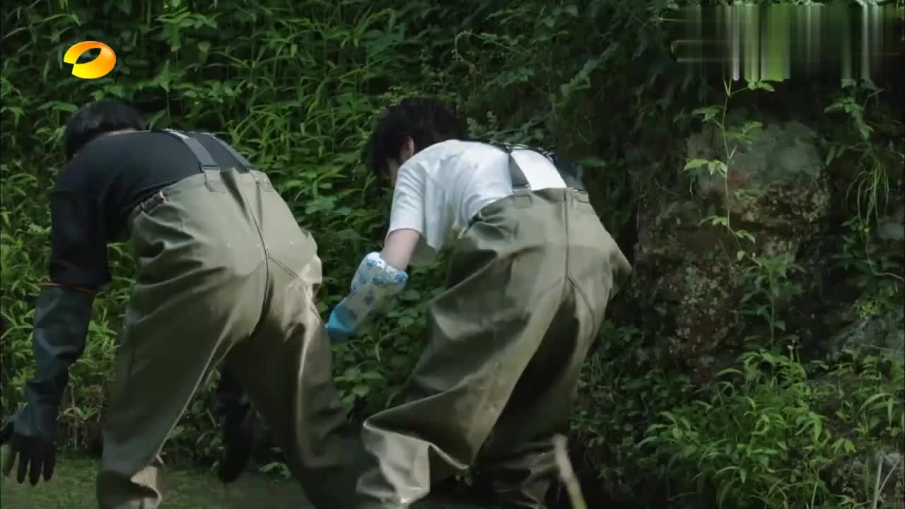 鹿晗徒手抓鱼 鹿晗徒手抓鱼是哪一期 鹿晗徒手抓鱼 鹿晗徒手抓鱼是哪一期