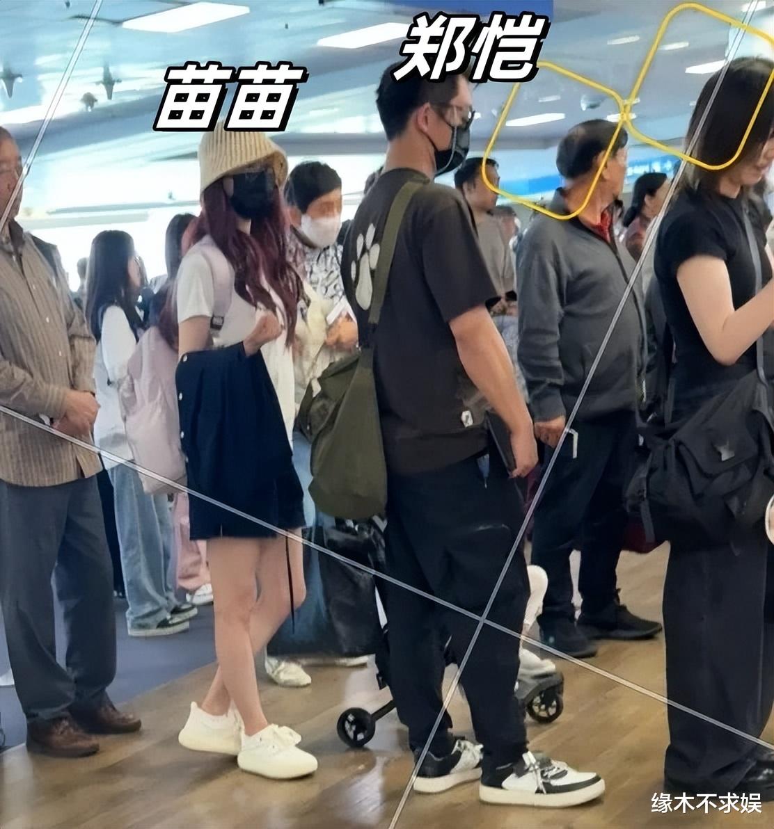 郑恺苗苗合表现身宁波 郑恺和苗苗一起参与的勾当 