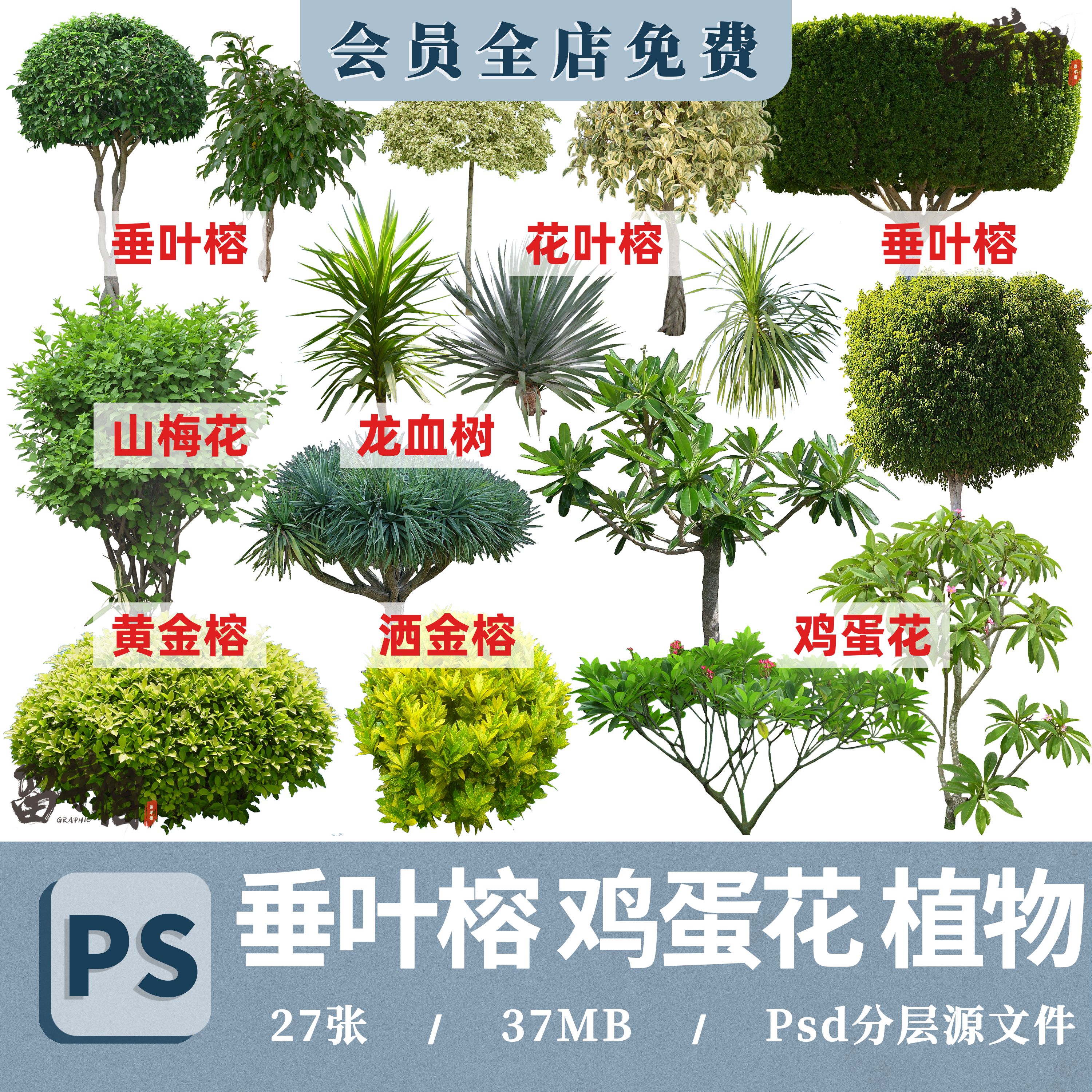 叶蓉 叶蓉小说全文阅读免费