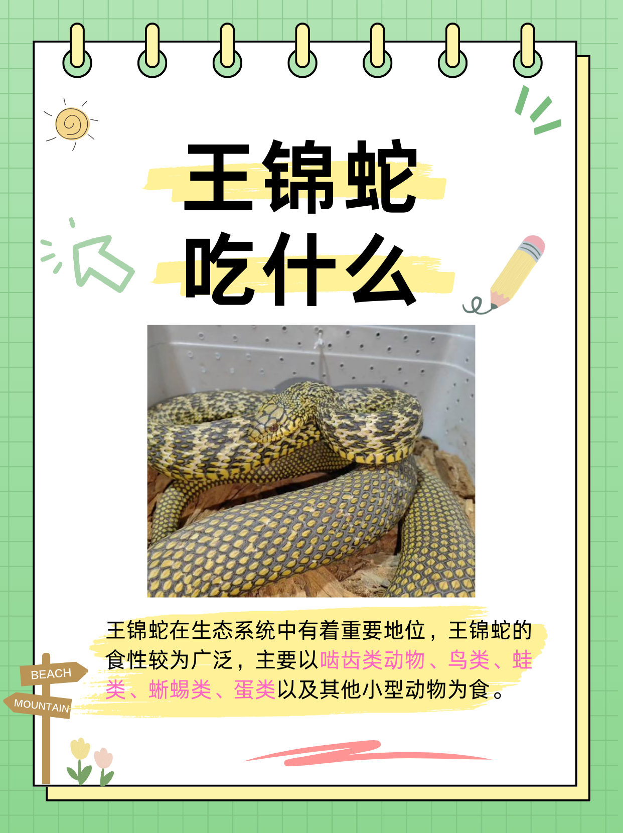 王林空盆来蛇 大师王林空盆来蛇原理