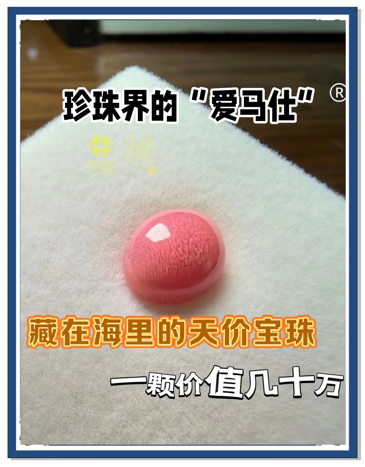 海螺珠价钱 粉色海螺珠价钱 海螺珠价钱 粉色海螺珠价钱